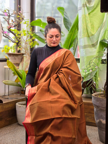 Brown Red Maheshwari Silk Cotton Saree